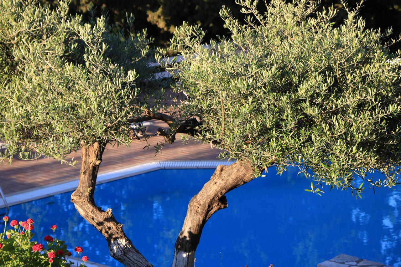 Myrto Homes Lefkada Agios Nikitas Greece Exterior foto